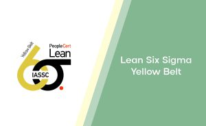Lean Six Sigma Yellow Belt