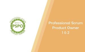 Professional Scrum Product Owner 1